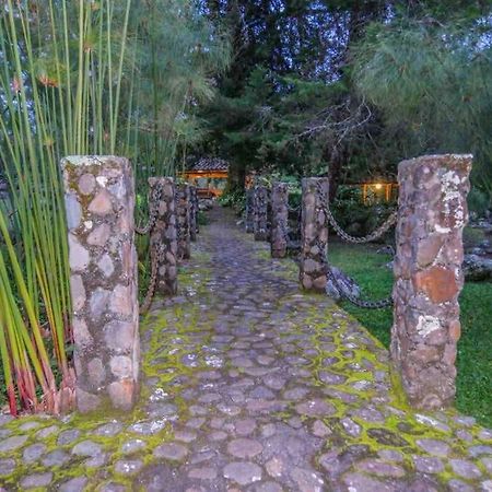 Finca Punta De Piedra Salento, Quindio Villa Exteriör bild