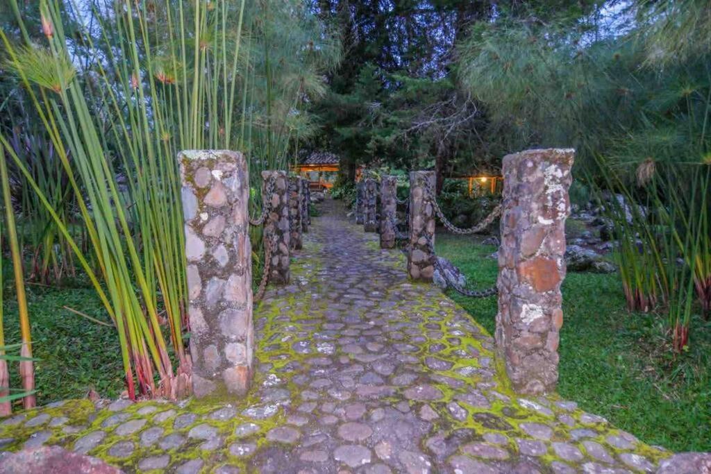 Finca Punta De Piedra Salento, Quindio Villa Exteriör bild