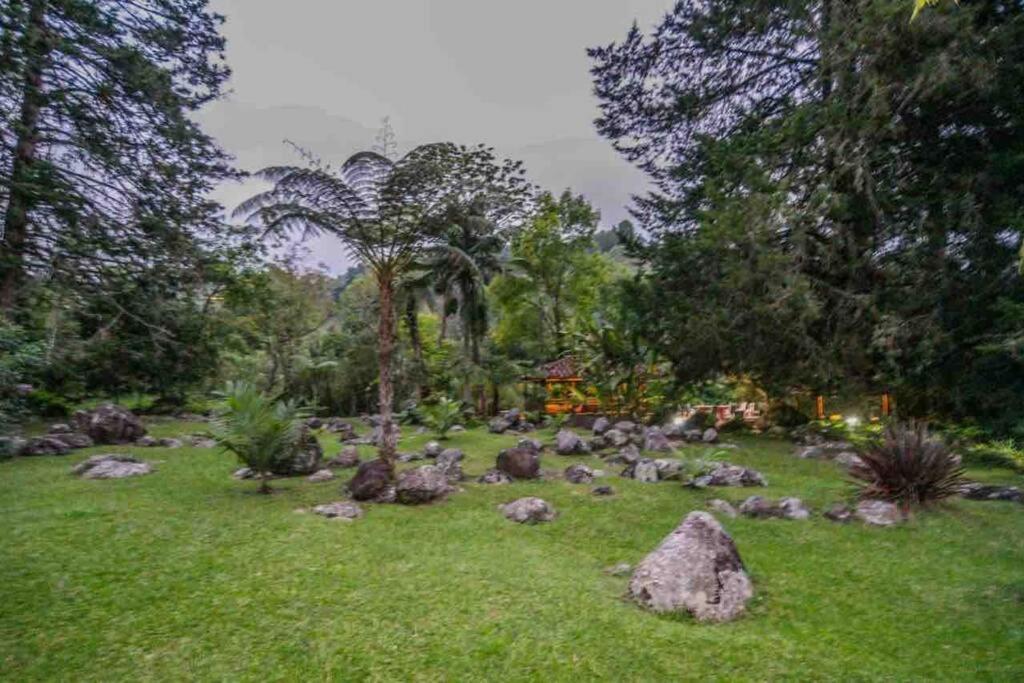 Finca Punta De Piedra Salento, Quindio Villa Exteriör bild