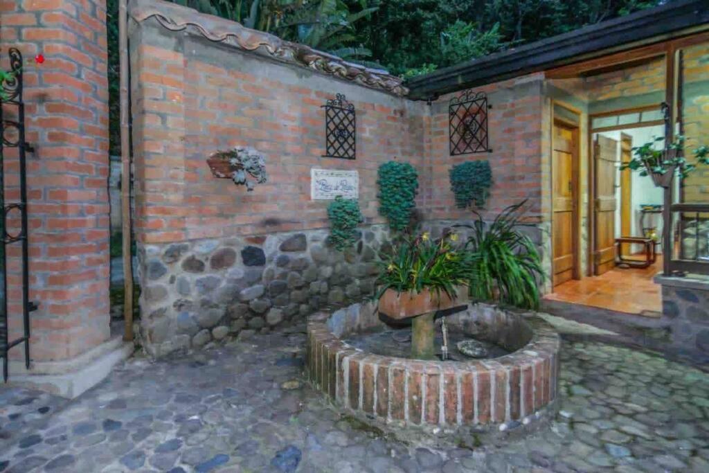 Finca Punta De Piedra Salento, Quindio Villa Exteriör bild