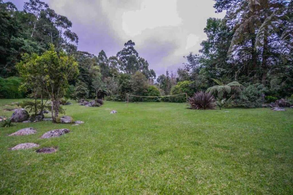 Finca Punta De Piedra Salento, Quindio Villa Exteriör bild