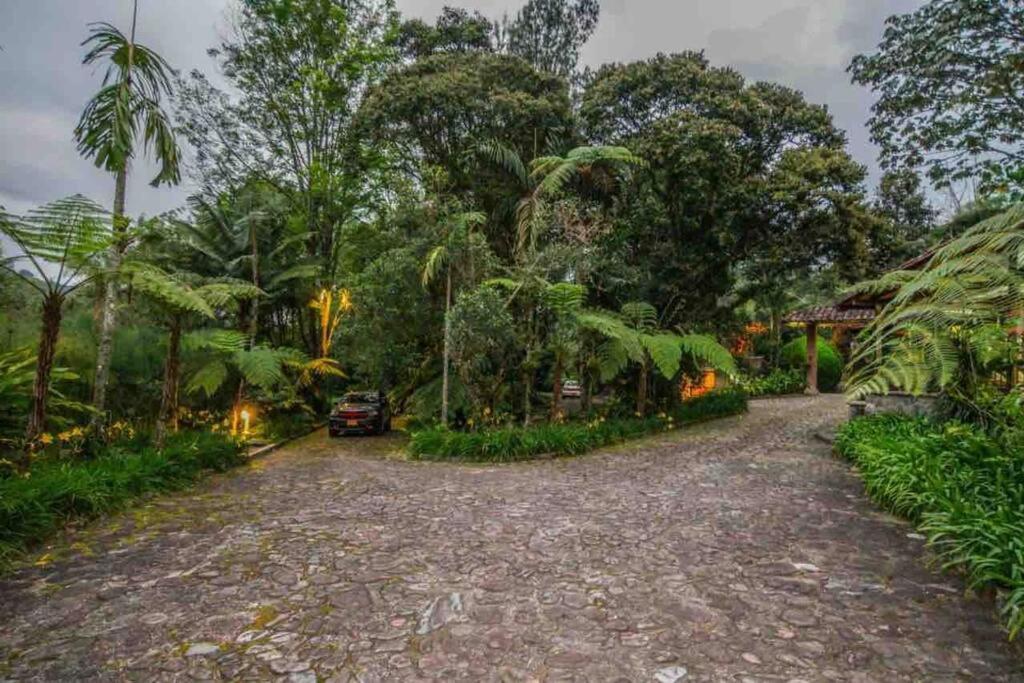 Finca Punta De Piedra Salento, Quindio Villa Exteriör bild